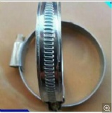 British Type Spring Hose Clamp with Low Price